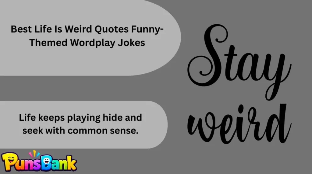Best Life Is Weird Quotes Funny-Themed Wordplay Jokes