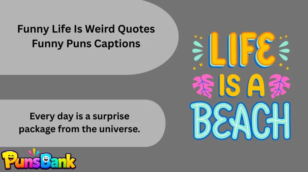 Funny Life Is Weird Quotes Funny Puns Captions