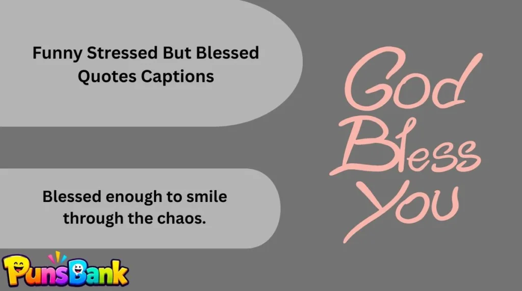 Funny Stressed But Blessed Quotes Captions