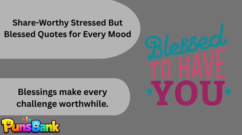 Share-Worthy Stressed But Blessed Quotes for Every Mood