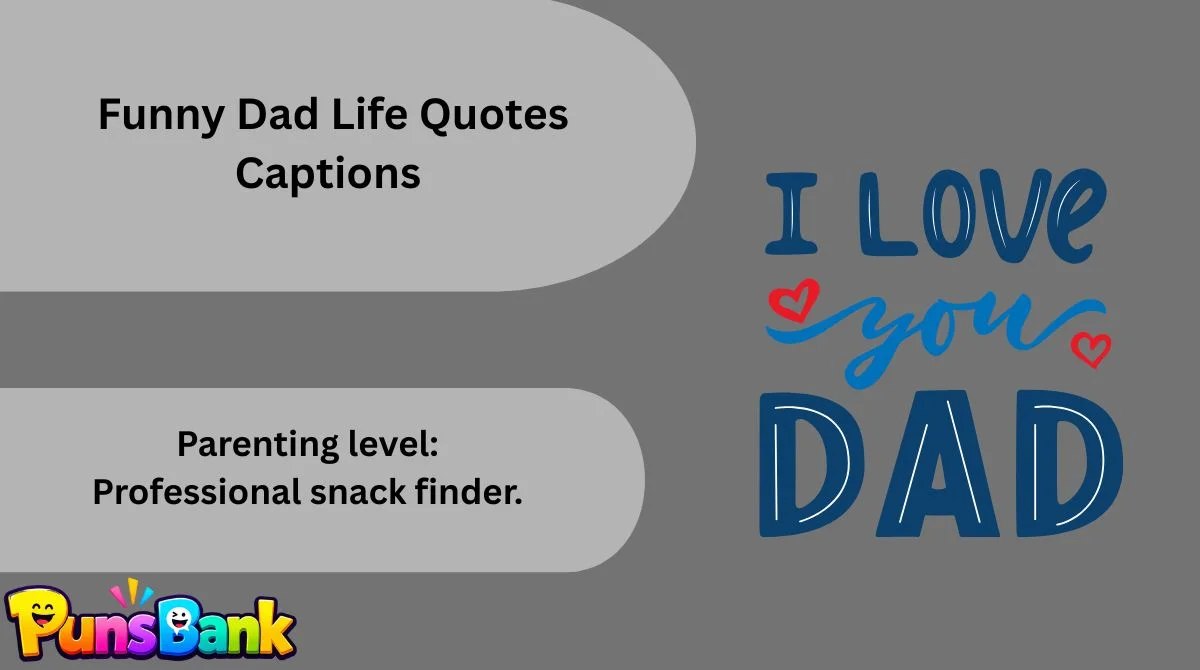   Funny Dad Life Quotes Captions
