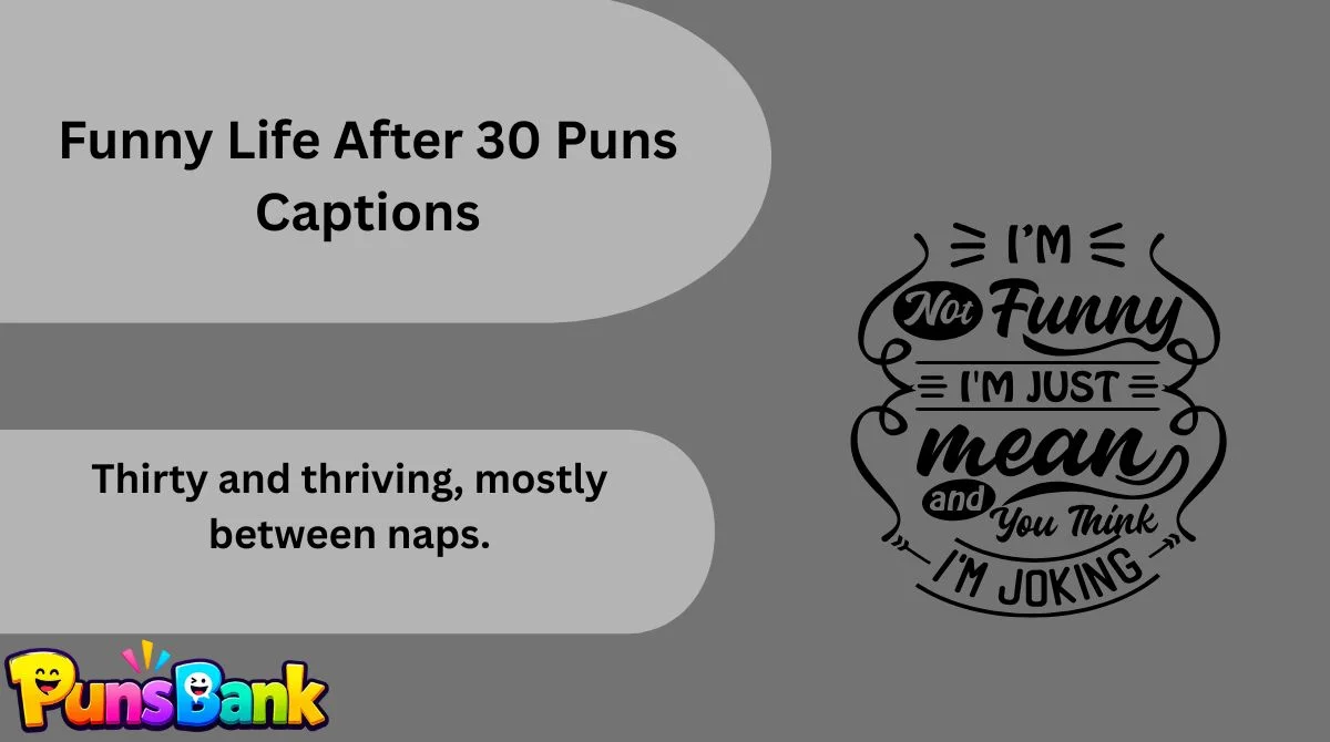 Funny Life After 30 Puns Captions