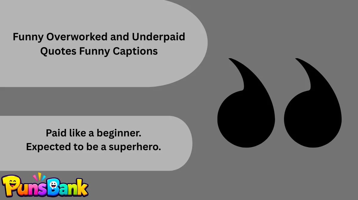 Funny Overworked and Underpaid Quotes Funny Captions