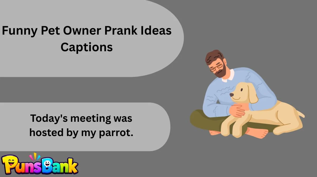 Funny Pet Owner Prank Ideas Captions