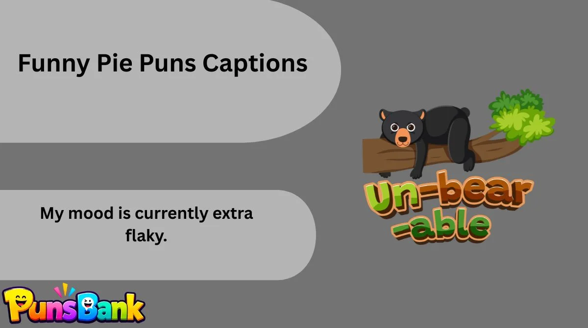 Funny Pie Puns Captions