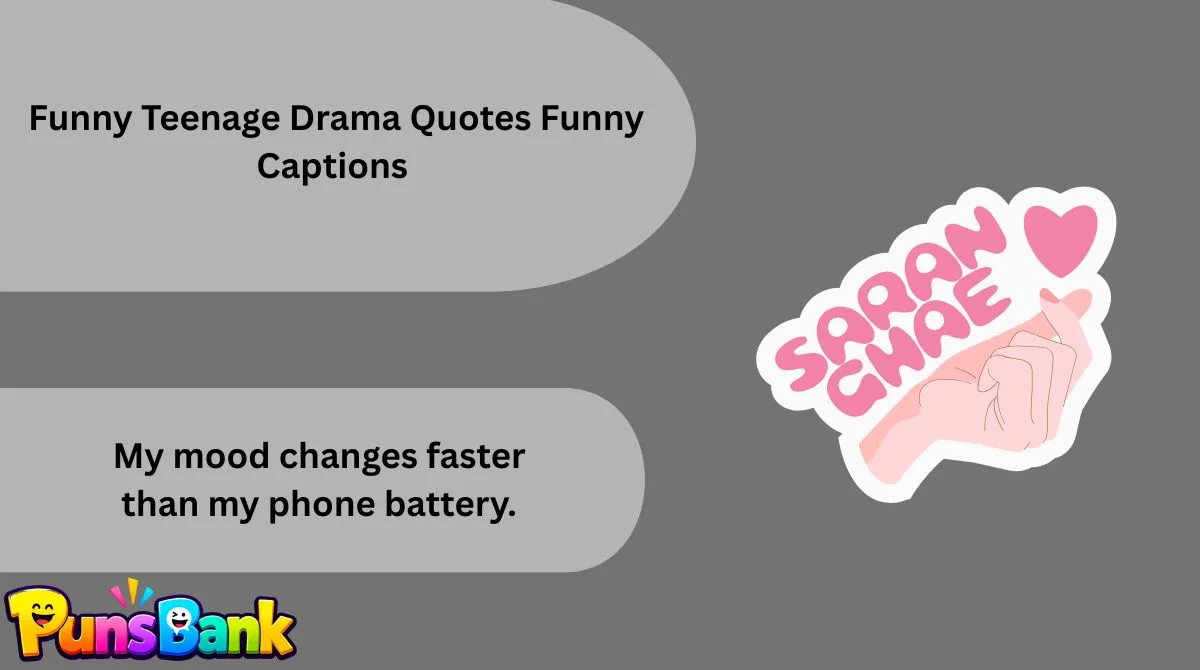   Funny Teenage Drama Quotes Funny Captions
