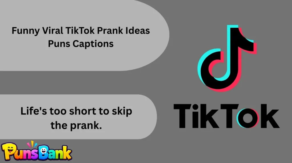 Funny Viral TikTok Prank Ideas Puns Captions