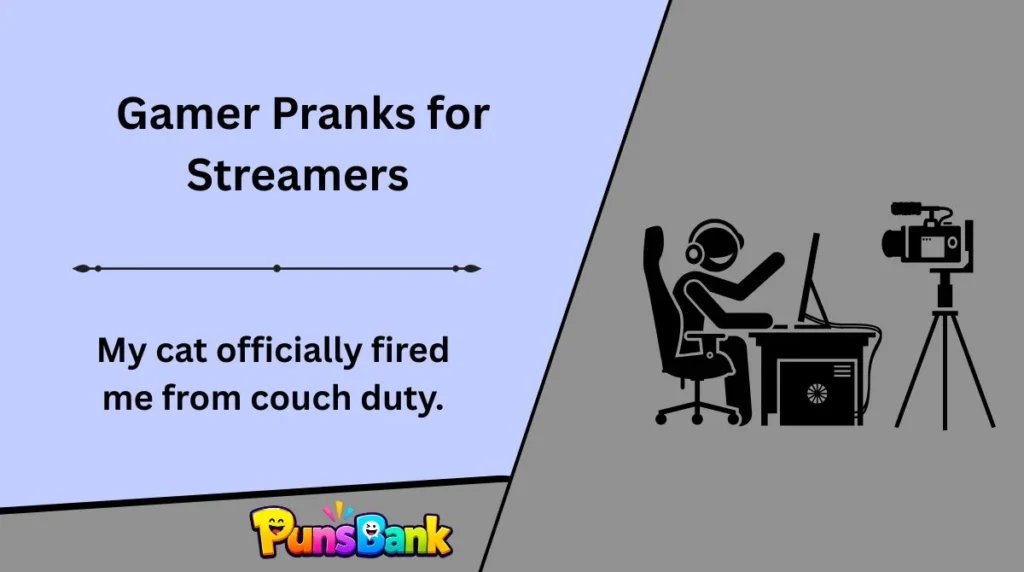 Gamer Pranks for Streamers