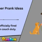 Pet Owner Prank Ideas