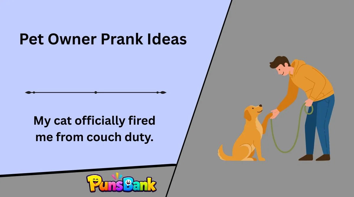 Pet Owner Prank Ideas